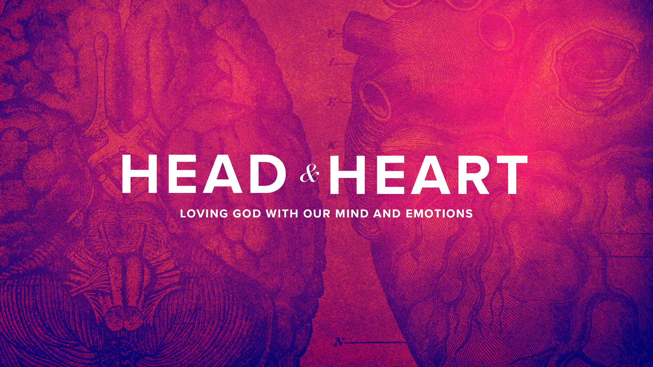 Head & Heart